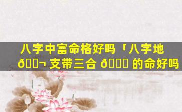 八字中富命格好吗「八字地 🐬 支带三合 🐘 的命好吗」